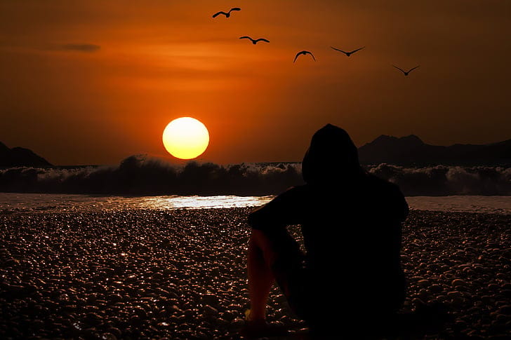 Palms silhouette, Antalya